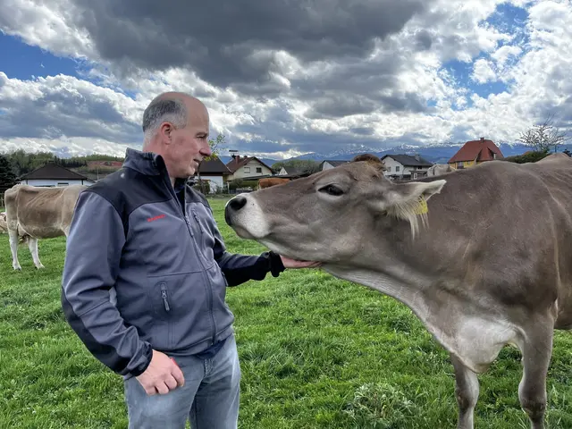 Josef Schachner aus Fohnsdorf musste aufgrund der Wasserknappheit bereits Tiere verkaufen.