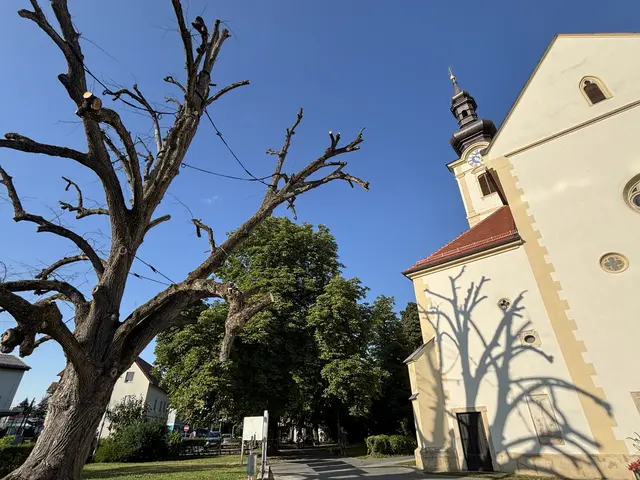 Der Stadtspaziergang führte bei strahlend blauem Himmel auch an der Stadtpfarrkirche Leibnitz vorbei. | Foto: MeinBezirk/W. Fischer