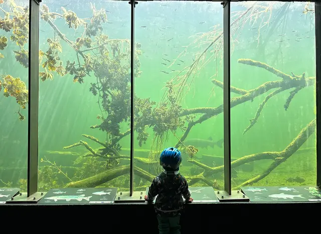 Die Unterwasserstation zeigt die Welt auf eine andere Art.  | Foto: Grabner