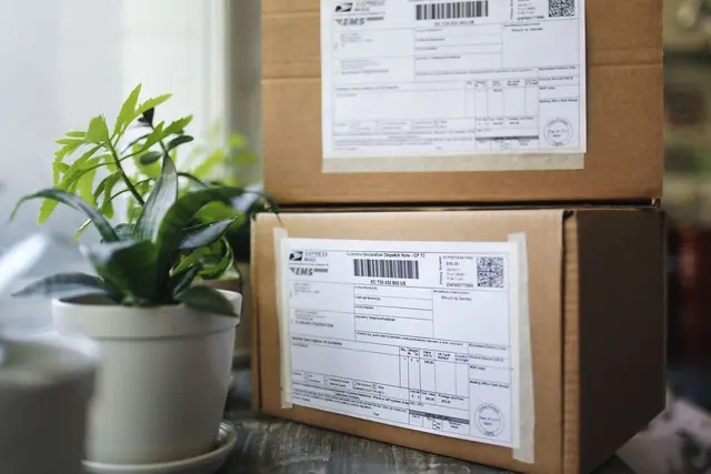 Das Paketvolumen ist durch den neuen EU-Zoll kräftig geschrumpft, so der Handelsverband. (Symbolbild) | Foto: www.pexels.com Polina Tankilevitch