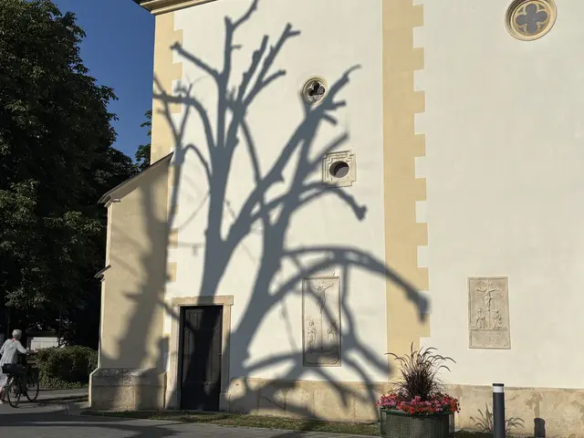 Foto: MeinBezirk/W. Fischer
