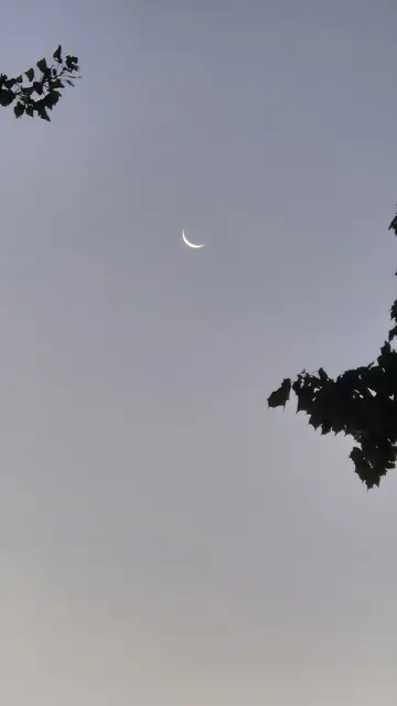 10.08.2026 der abnehmende Mond als schmale Sichel am Morgenhimmel - noch zwei Tage bis Neumond
