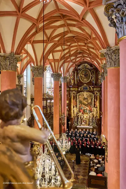 Klassik vom Feinsten in der Scheibbser Pfarrkirche: Das 42. Chopin-Festival im Bezirk Scheibbs war ein voller Erfolg. | Foto: Alois Spandl/FotoLois.com