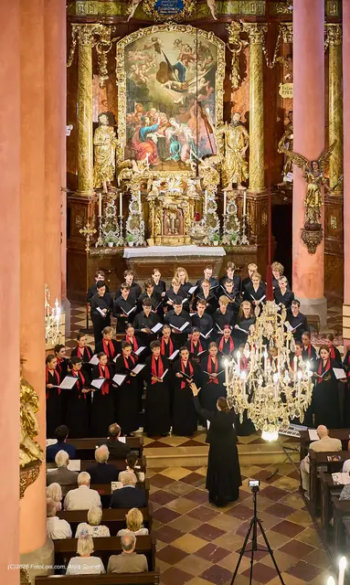 Klassik vom Feinsten in der Scheibbser Pfarrkirche: Das 42. Chopin-Festival im Bezirk Scheibbs war ein voller Erfolg. | Foto: Alois Spandl/FotoLois.com