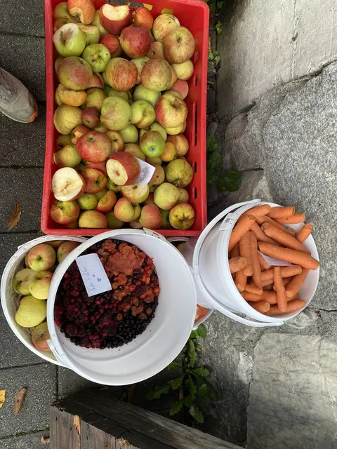 Viele mischen sich einen herrlichen Multivitaminsaft | Foto: Obstpresse Bramberg
