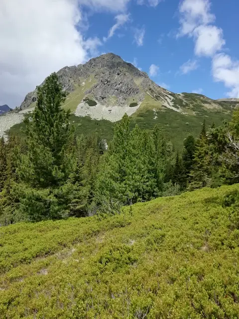 Blick auf die Krugspitze im Triebental (Region Murtal)