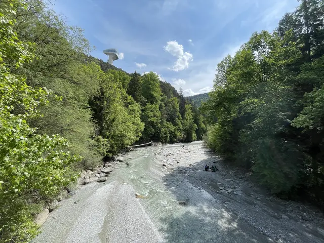 Die Bretterwege in der Sillschlucht werden aktuell durch Gitterroste ersetzt. Bei Hundebesitzern sorgt dies für Kritik.  | Foto: Karl Künstner