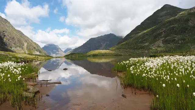 (Symbolfoto) Dieses Bild präsentierte unsere Regionautin Klothilde Schnedl am 18. Juli 2026 unter unserer Rubrik "Fotos des Tages aus Lungau". "Beim obersten der drei Landschitzseen, mit Blick zum Hochgolling", erklärte sie. | Foto: Klothilde Schnedl