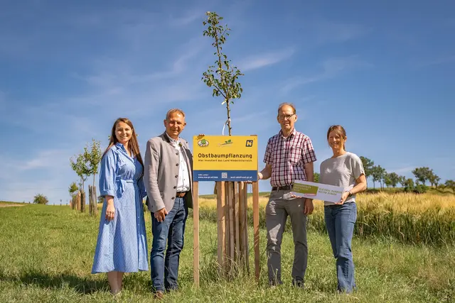 rojektmanagerin der Moststrasse Maria Haider, Obmann der LEADER Region Mostviertel-Mitte Bürgermeister Manfred Roitner, Franz Lumesberger vom NÖ Landschaftsfonds und Projektkoordinatorin in der LEADER Region Mostviertel-Mitte Martina Grill machen sich gemeinsam für den Erhalt der Streuobstwiesen stark und laden zum Mitpflanzen ein. | Foto: Cleanhill Studios/Moststraße