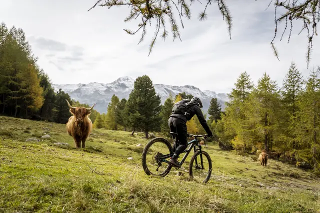 Die Region lädt zum frühherbstilichen Bike-Erlebnis. | Foto: TVB Tiroler-Oberland-Nauders/Florian Albert