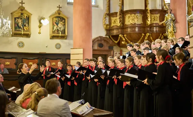 Klassik vom Feinsten in der Scheibbser Pfarrkirche: Das 42. Chopin-Festival im Bezirk Scheibbs war ein voller Erfolg. | Foto: Alois Spandl/FotoLois.com