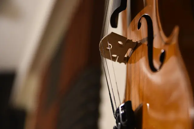ür die musikalische Unterhaltung an diesem Abend sorgt Oksana Pečeny auf der Violine, Konzertmeister Oper Maribor und Andraž Fece auf dem Akkordeon. | Foto: pixabay / MAGstd