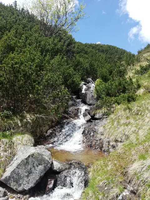 Bach auf dem Weg zur Krugspitze in der Region Murtal