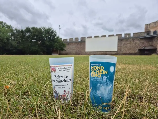 Vier letzte Filmnächte warten beim großen Saisonfinale unter freiem Himmel. | Foto: Mondscheinkino Eggenburg