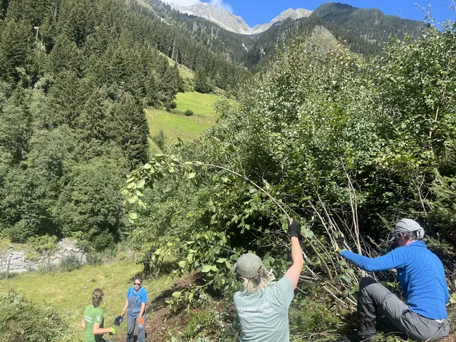 Das sogenannte Schwenden ist eine harte, aber sinnvolle Arbeit, die für die Teilnehmer des ÖAV-Bergwaldprojekts oft eine willkommene Abwechslung zum Alltag bietet. | Foto: Sinja Schulze Messing