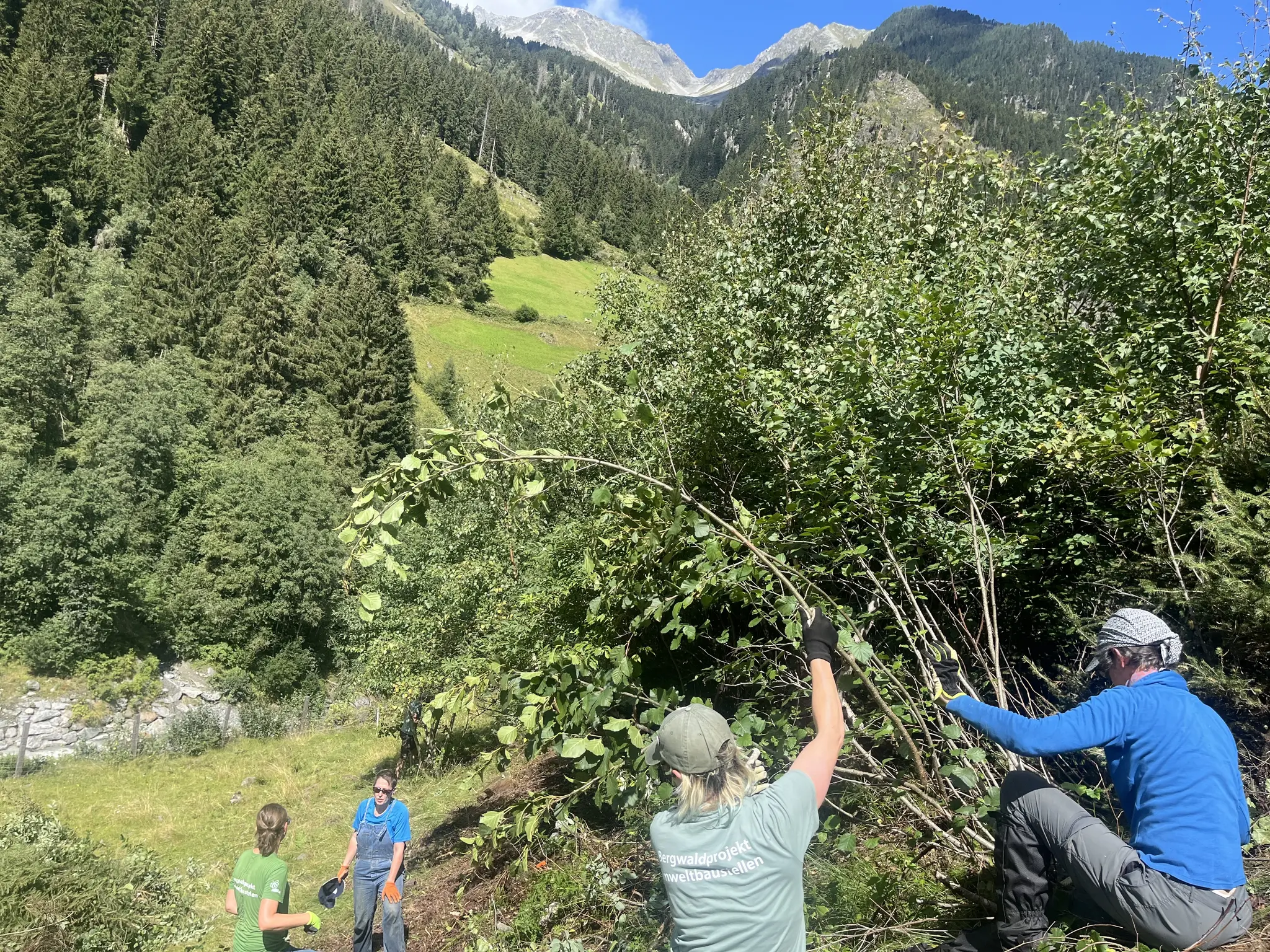 Commitment on the Ranaltalpe: How volunteers preserve the beauty of the ...