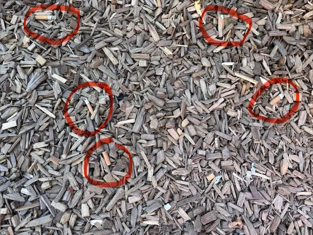 Ein Bild sagt schon alles: Auf ein Foto passen am Kinderspielplatz auf dem Schloßberg fünf Zigarettenstummel.