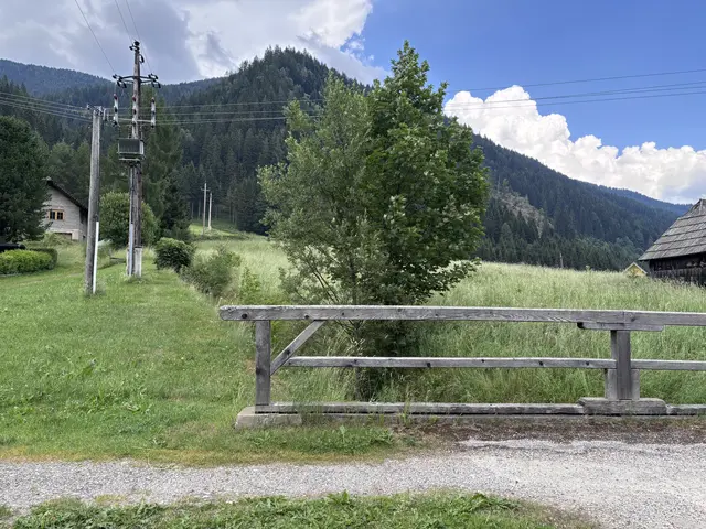 Hier, rund um den Wachterbach in Pusterwald, werden 2027 die Bauarbeiten stattfinden.
