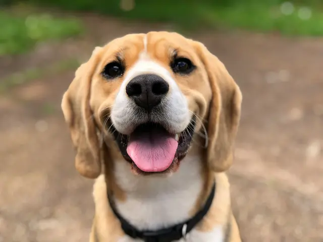 Foto: Milli/Unsplash