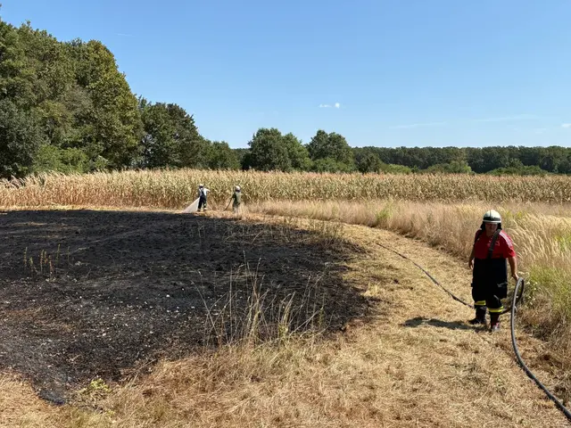 Der Flurbrand in Heiligenbrunn war im Zuge von Mäharbeiten entstanden und griff auf eine Wiese sowie den angrenzenden Waldrand über.  | Foto: Bezirksfeuerwehrkommando Güssing