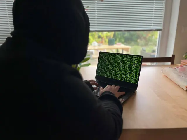 Aus Neid auf den Erfolg des Discord-Servers eines St. Pöltners machten Unbekannte ihm das Leben zur Hölle. | Foto: Katharina Schrefl