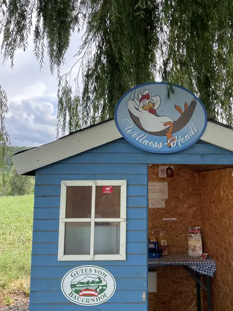 Wer am Hof der Hickelsberger vorbeifährt, kann sich gleich an der Straße Eier vom "Wellness-Hendl" mitnehmen. | Foto: Lauren Fahrenberger / MeinBezirk