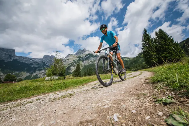 Der Pongau behauptete dabei seine Rolle als zweitstärkste Tourismusregion Salzburgs. | Foto: Tourismusverband Werfenweng, Christian Schartner