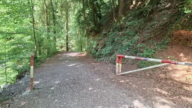Die Glasenbachklamm wird wieder für Wanderer geöffnet. | Foto: Josef Wind