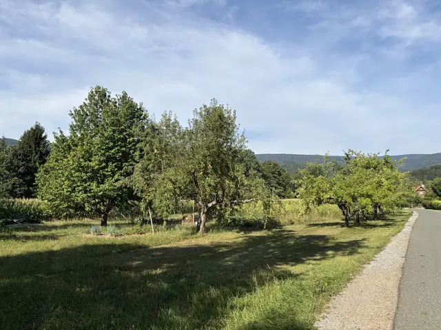 Foto: MeinBezirk/Katrin Löschnig