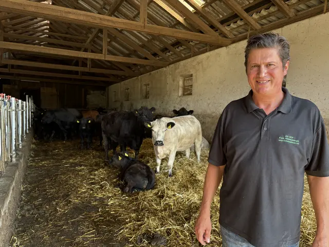 Die Lage der heimischen Bauern ist kritisch. Johann Hickelsberger erzählt im Gespräch mit MeinBezirk von den grundlegenden Problemen. | Foto: Lauren Fahrenberger / MeinBezirk