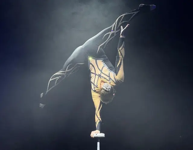 Nach drei Jahren endlich wieder zurück in Hartberg gastiert der Circus Alex Kaiser vom 21. August bis zum 30. August 2026 in Hartberg auf der Wiese bei der Hartberghalle. 
 | Foto: Circus Alex Kaiser