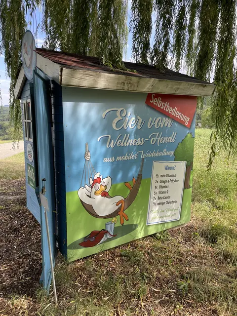 Gutes vom Huhn. | Foto: Lauren Fahrenberger / MeinBezirk