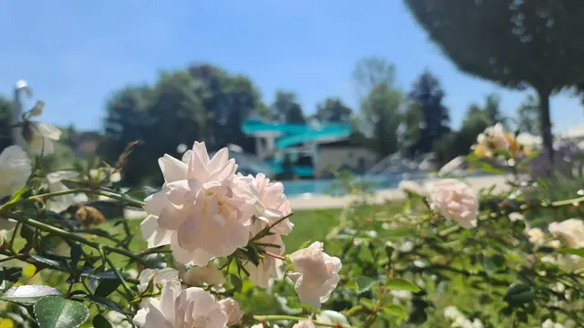 Das Erlebnisbad ist eines der vielen Freizeitmöglichkeiten. | Foto: Marktgemeinde St. Stefan