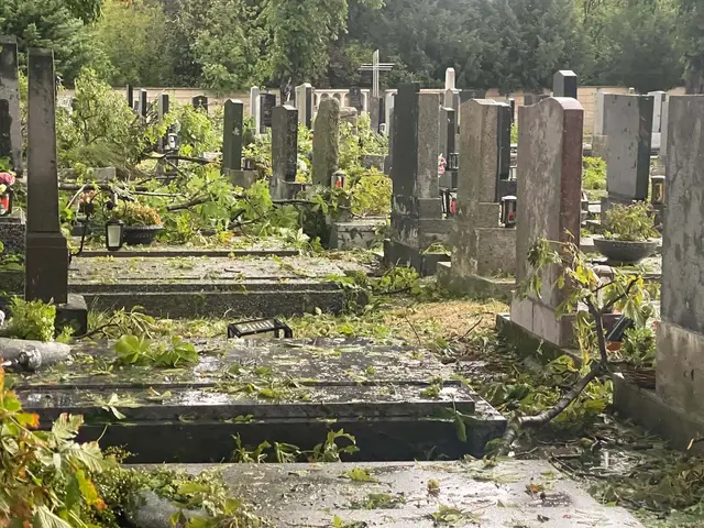 Die Gemeinde Kittsee bittet um Unterstützung bei den Aufräumarbeiten. | Foto: Gemeinde Kittsee