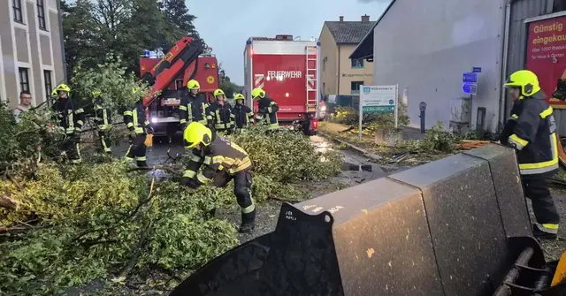 Straßenchaos mit Baumteilen