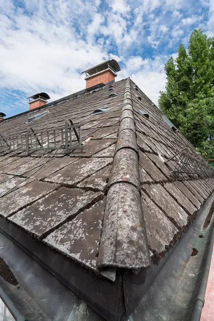 Das 60 Jahre alte Dach wird im Rahmen der Sanierung vollständig erneuert. Dafür müssen  die bestehende Dacheindeckung samt Unterkonstruktion abgetragen und durch ein langlebiges Aluminiumdach ersetzt werden.  | Foto: Stadt Salzburg/Alexander Killer