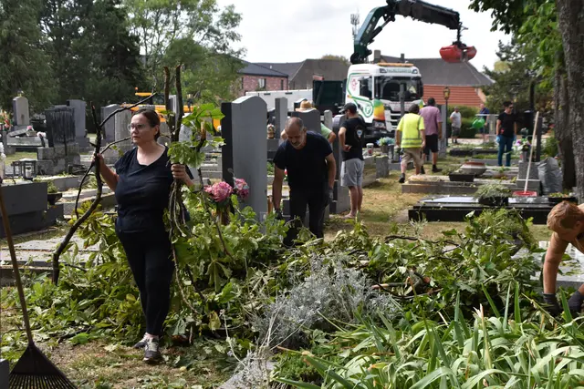 Foto: Dorottya Fejes/MeinBezirk