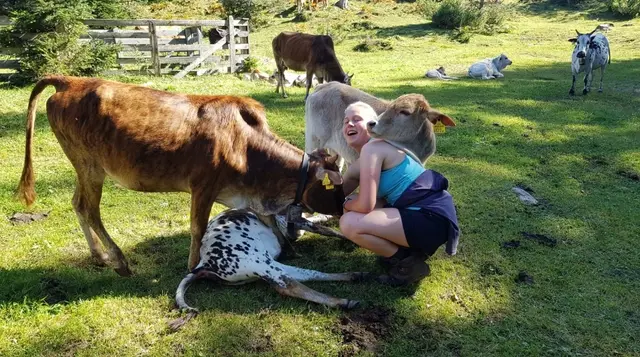 Bei WWOOF werden freiwillige Helferinnen und Helfer mit biologischen Bauernhöfen auf der ganzen Welt zusammengebracht.  | Foto: WWOOF