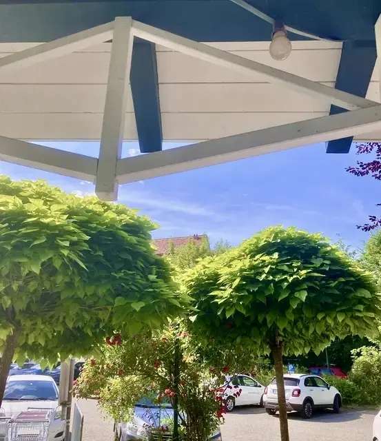 Pavillon &amp; Parkplatz  | Foto: Bilder: Alle privat 👆🏼