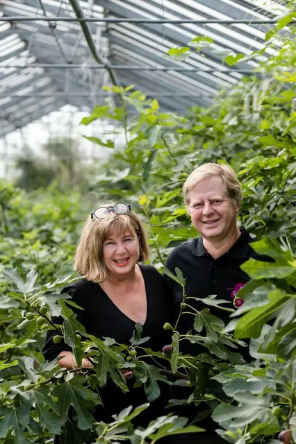 Ursula Kujal-Thiesz und Harald Thiesz im Glashaus des Bio Feigenhofs. | Foto: M. Siebenhandl