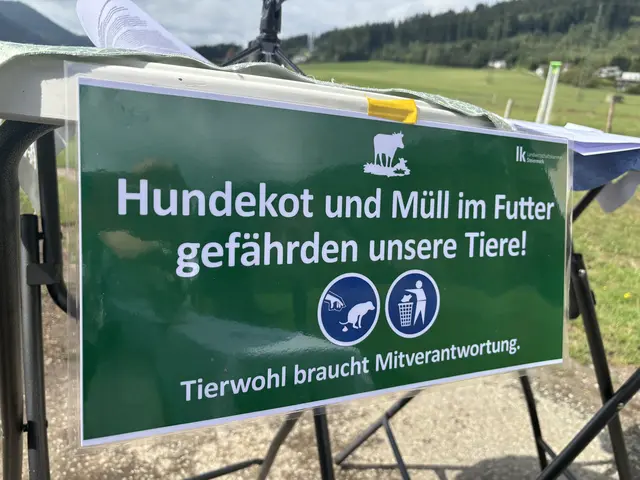 Foto: MeinBezirk/Astrid Moder
