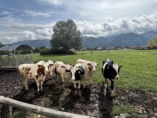 Foto: MeinBezirk/Astrid Moder
