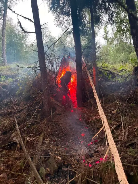 Baum in Grain brannte. | Foto: Freiwillige Feuerwehr Glödnitz