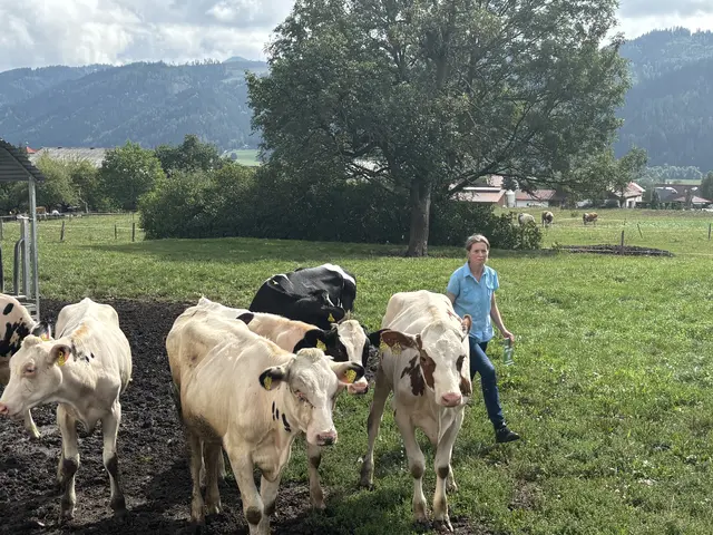Foto: MeinBezirk/Astrid Moder
