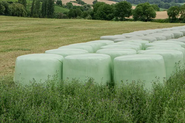 Der 22-Jährige soll Heu- und Silageballen sowie anderes Futtermittel im Internet zum Verkauf angeboten haben. (Symbolfoto) | Foto: stock.adobe.com/at/