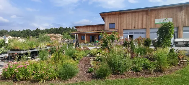 Mit der richtigen Pflanzenauswahl bleiben die Beete auch bei langer Trockenheit grün – wie etwa vor der Zentrale von "Garten Schinagl". | Foto: Schinagl