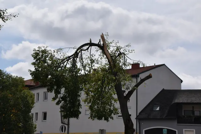 Foto: Dorottya Fejes/MeinBezirk