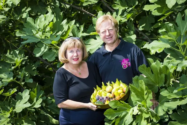 Mitten in der Simmeringer Haide haben Ursula Kujal-Thiesz und Harald Thiesz vor rund 20 Jahren den Bio-Feigenhof gegründet. | Foto: J. Brunnbauer 