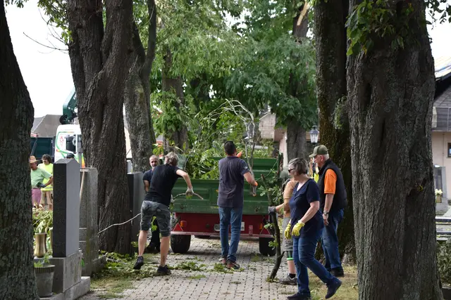 Foto: Dorottya Fejes/MeinBezirk