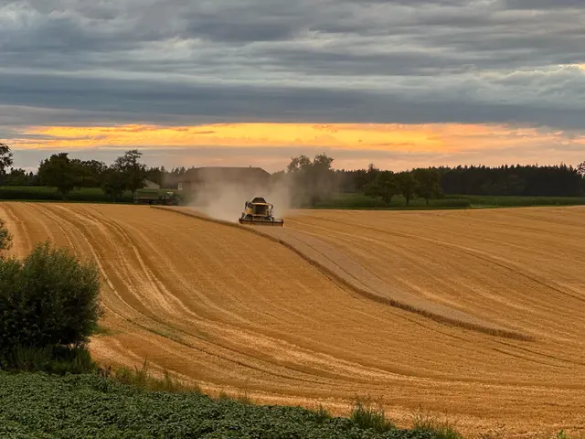 Die wichtigsten Nachrichten aus allen Wels-Land-Gemeinden nur hier auf MeinBezirk. | Foto: MeinBezirk/Philipp Braun